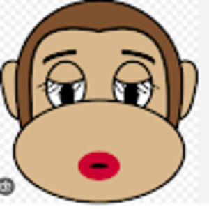 Meet your Posher, Monkey